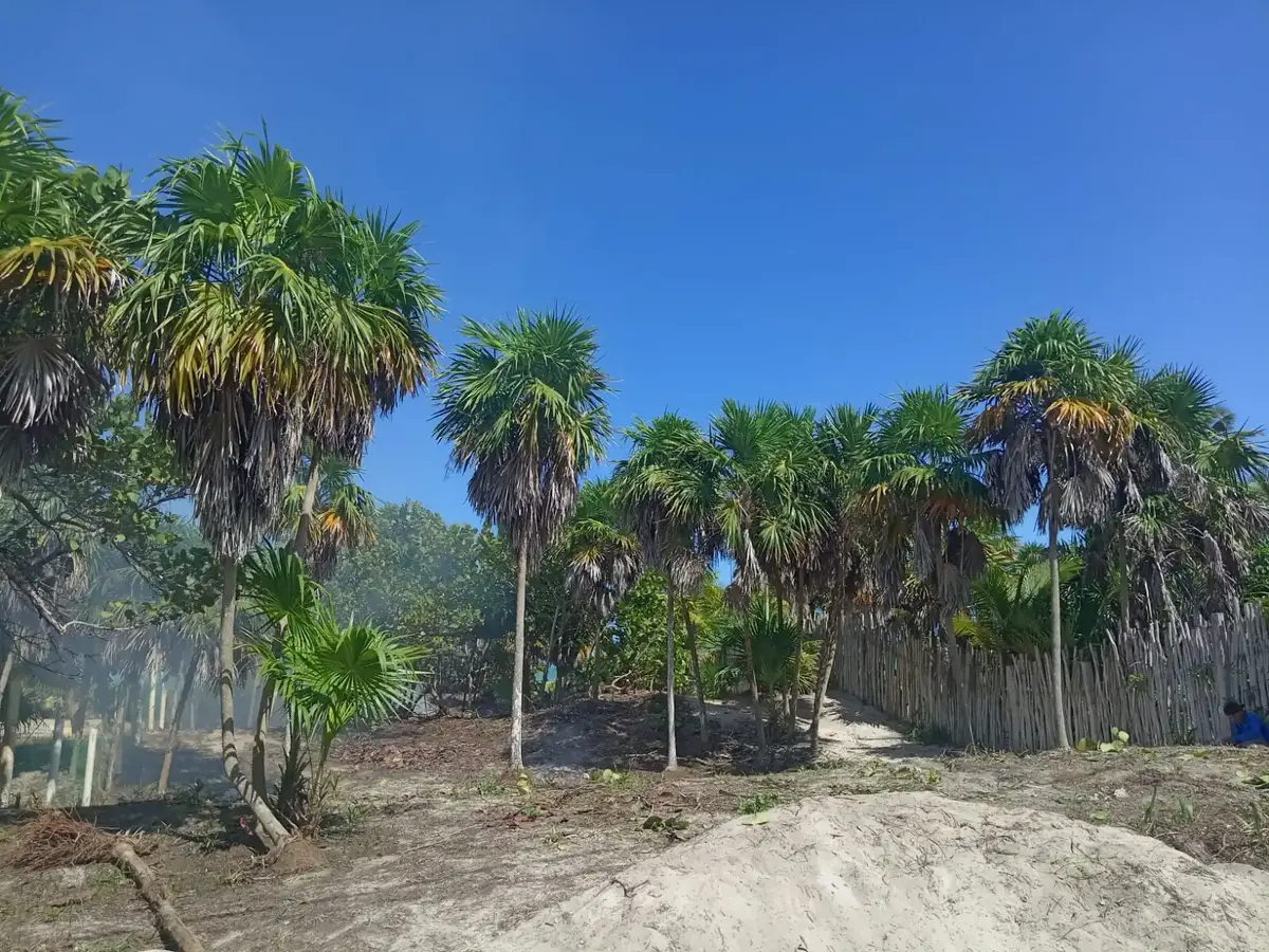 Beachfront land in Mexico